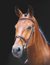 Shires Salisbury Bodenham Bridle